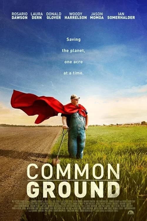 Common Ground film posteri
